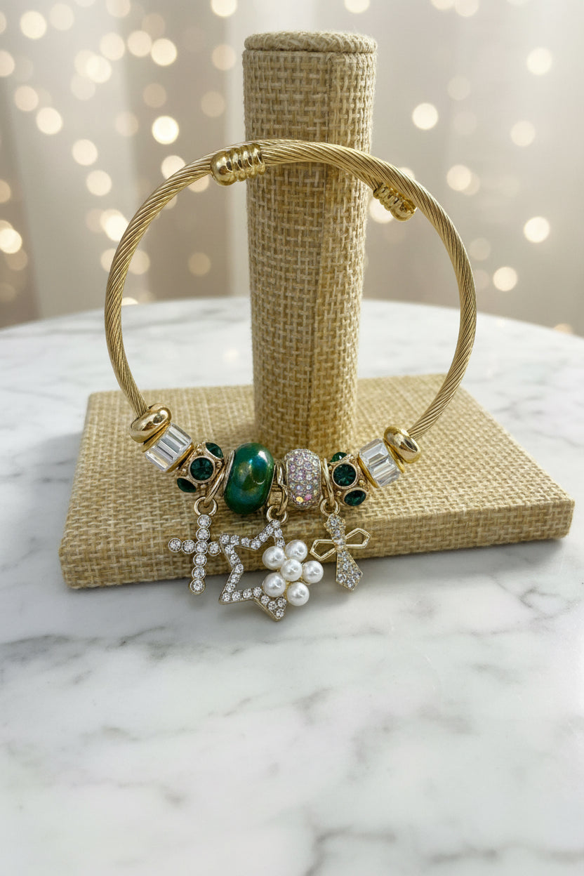 Pulsera Acero Rígida Char